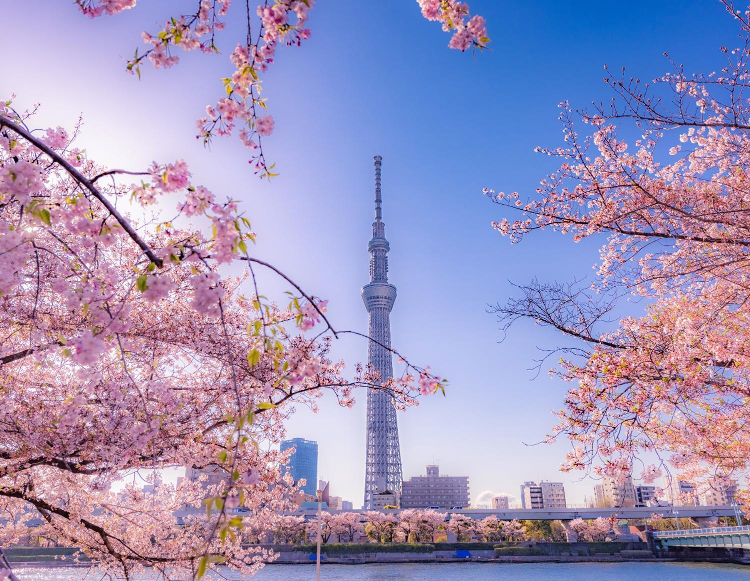Grand Tree Hotel Skytree View Rooftop Asakusa Walk Tóquio Exterior foto
